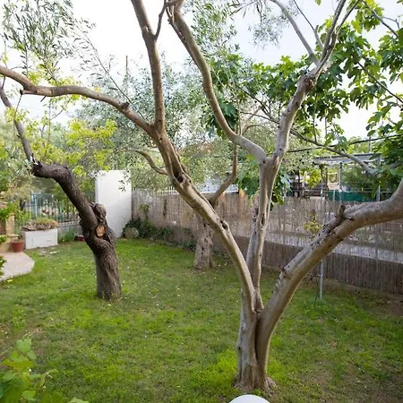 Halkidiki Lejlighed *